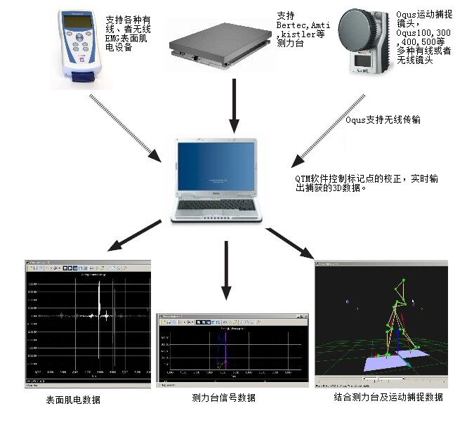 视觉驱动的步态诊断 揭秘VISUAL3D运动捕捉技术的临床价值与网络技术服务的融合